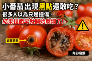 小番茄出現黑點還敢吃 compressed (1)